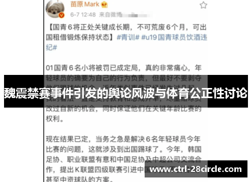 魏震禁赛事件引发的舆论风波与体育公正性讨论