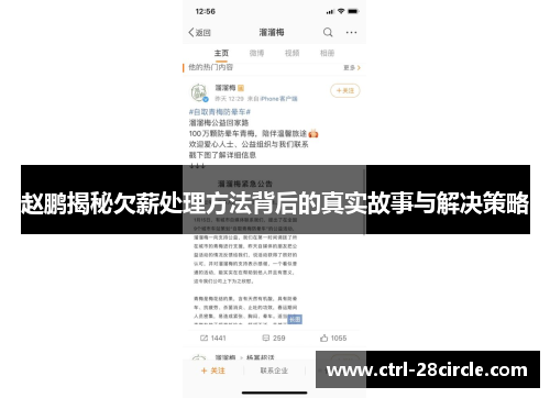 赵鹏揭秘欠薪处理方法背后的真实故事与解决策略