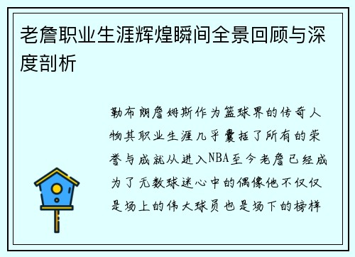 老詹职业生涯辉煌瞬间全景回顾与深度剖析