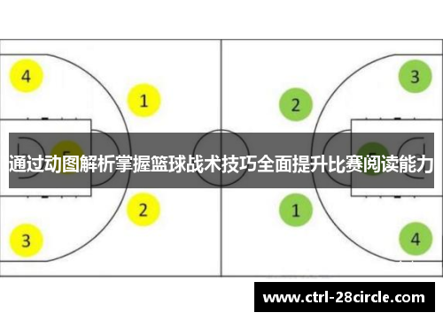 通过动图解析掌握篮球战术技巧全面提升比赛阅读能力