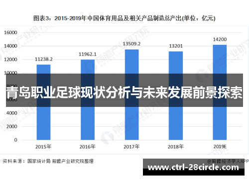 青岛职业足球现状分析与未来发展前景探索