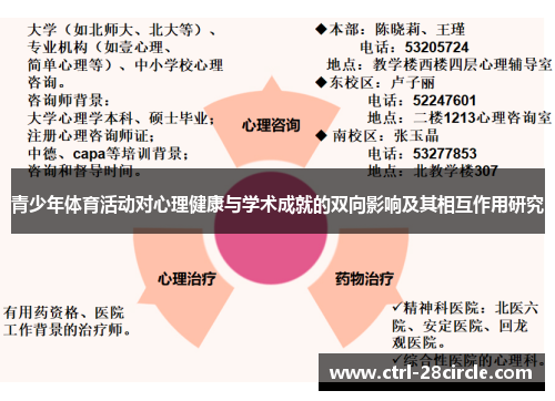 青少年体育活动对心理健康与学术成就的双向影响及其相互作用研究 青少年体育活动对心理健康与学术成就的双向影响及其相互作用研究